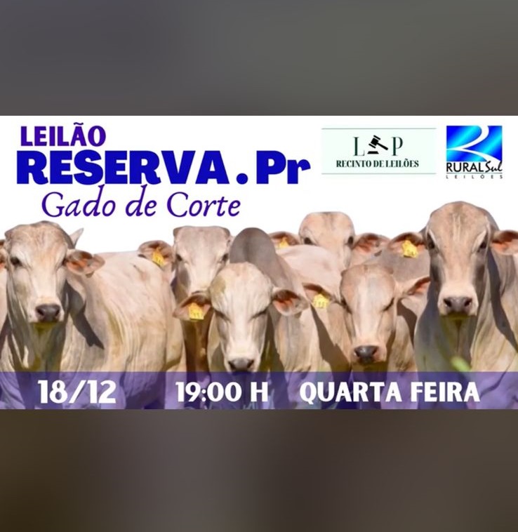 Logotipo do Leilão em Destaque