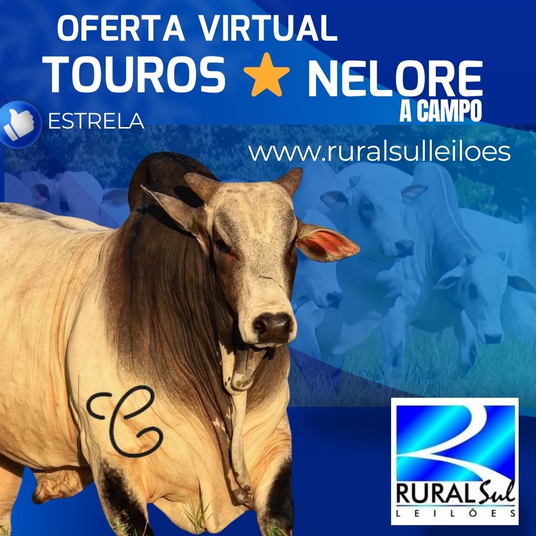 Logotipo do Leilão em Destaque