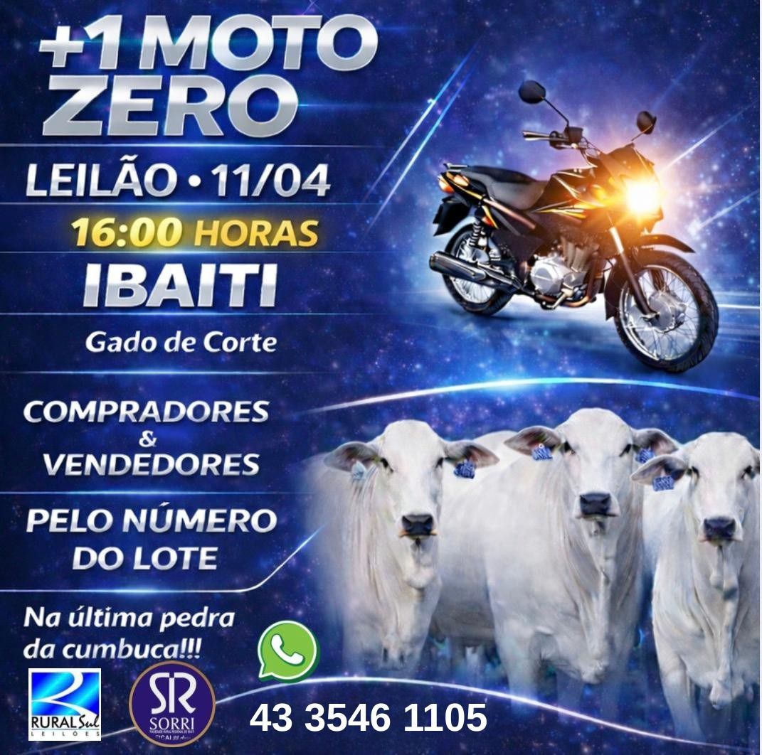 Logotipo do Leilão em Destaque